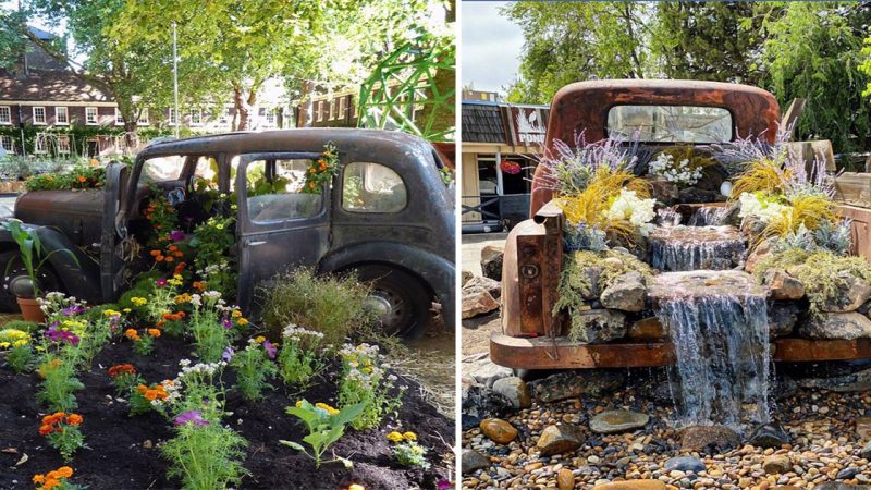 The Harmonious Coexistence of Garden and Car