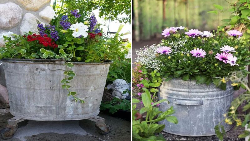 Enchanting Garden Decor: Fall in Love with These Creative Uses of Tin Buckets!