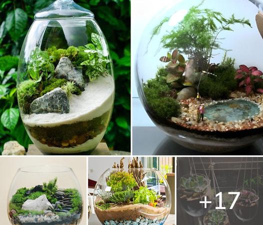 17 Ideas To Grow Succulent in Wine Glass