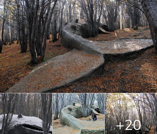 A Giant Whale Stranded in the Argentine Forest: The Visionary Art of Adrían Villar Rojas