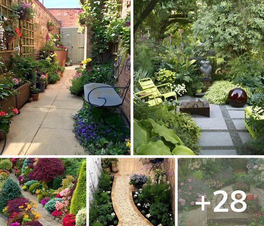 28 Landscaping Ideas to Transform Your Long and Narrow Garden into a Stunning Oasis