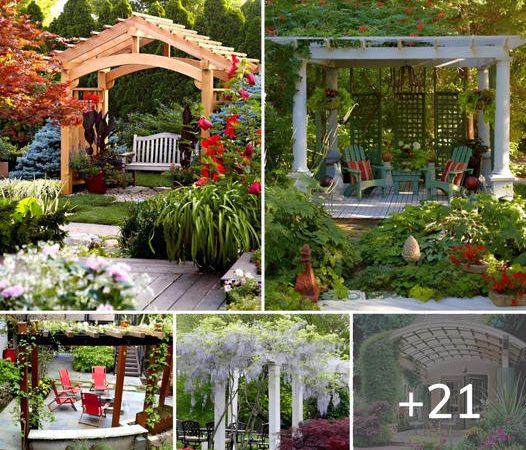 21 Pergola Ideas To Make Privacy Space In The Garden