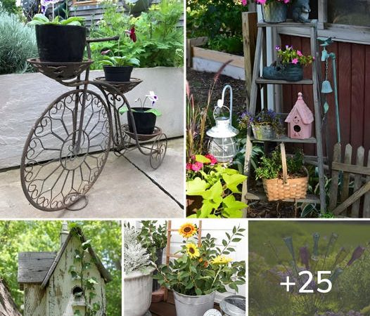 25 Fun and Unique Garden Decor Ideas Inspired by the Countryside