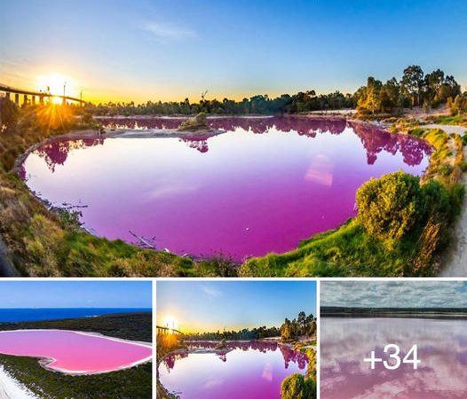 Otherworldly Wonders: Australia’s breаtһtаkіnɡ Pink Lakes