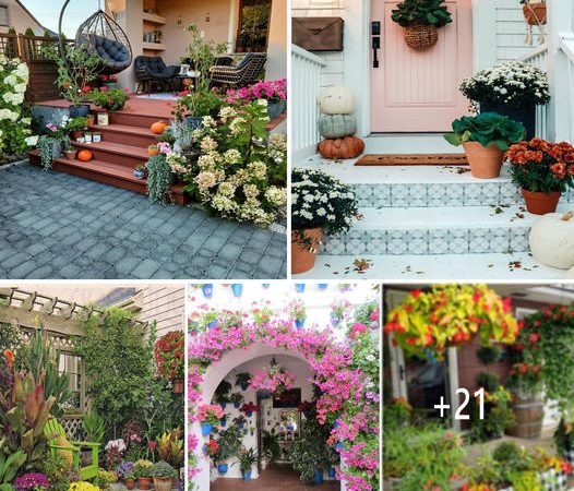 27 Ideas Garden ideas Decorate your exterior with flowers. ‎