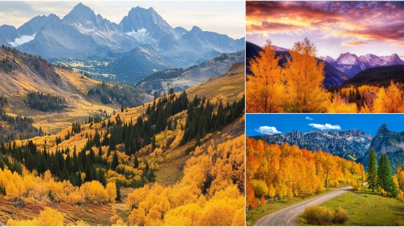 Autumn Splendor in the San Juan Mountains, Colorado: A Scenic Journey Through Nature’s Colors