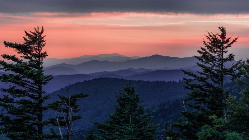 Majestic Views from Clingmans Dome: Discover the Heart of the Great Smoky Mountains