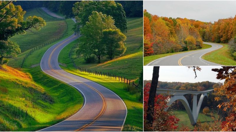 Exploring Natchez Trace Parkway: Journey Through Mississippi, Alabama, and Tennessee, USA